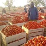 Dai pomodori...alla passata di pomodoro